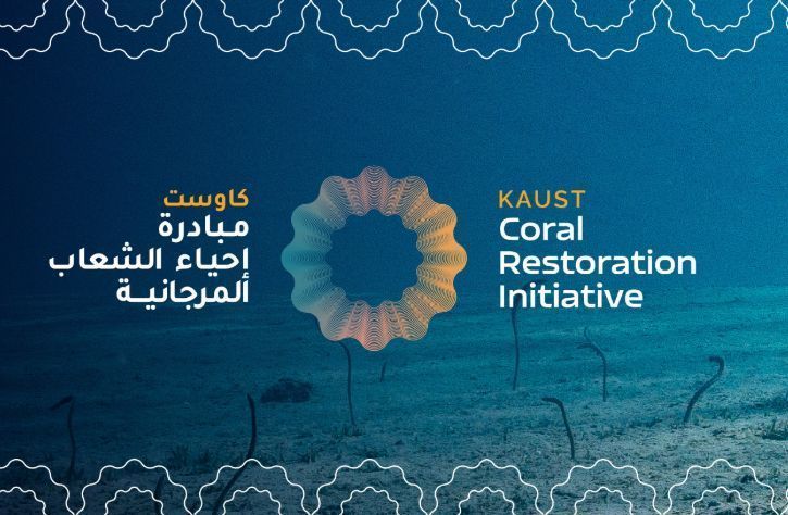 CORAL RESTORATION JOB OPPORTUNITIES with Kaust (Saudi Arabia)

KAUST in partnership with NEOM is executing the world's largest coral reef conservation, enhancement, and restoration project. The project will involve work across a 100-hectare reefscape near Shushah Island in the