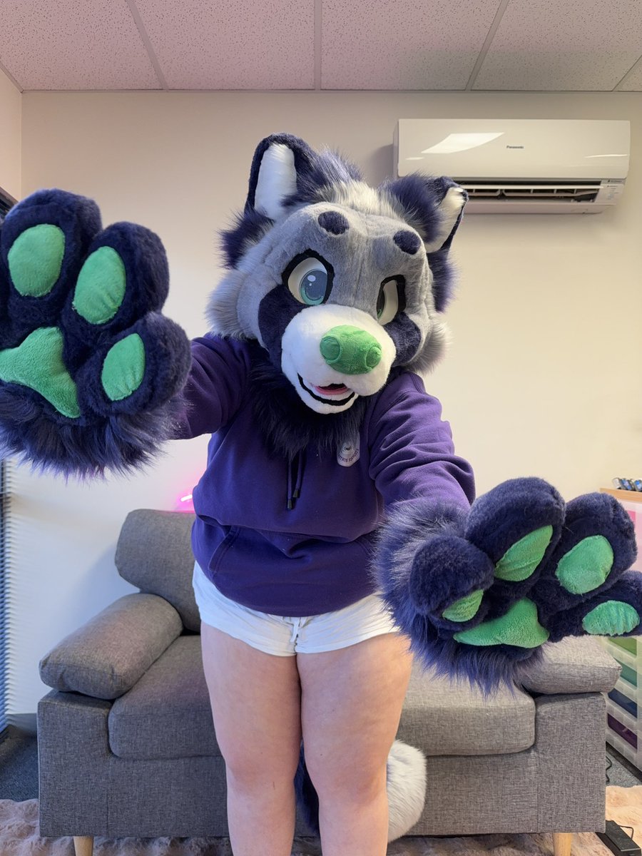 Astris_Fursuits's tweet image. WAH!! Itβs Rye all finished up and ready to go home!
ππ©΅π