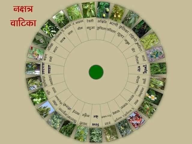 yajnshri's tweet photo. सत्ताईस नक्षत्रों के वृक्ष, नक्षत्रो के माध्यम से भी ग्रहों के कुप्रभाव को सही किया जा सकता है।🧵

आपका जन्म जिस नक्षत्र का हो वह वृक्ष अवश्य लगाये https://t.co/Isn1FFeY4n