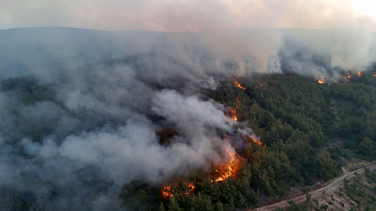 kuzeyormanlari's tweet photo. Kuzey Ormanları Şarköy yangını 42 saat sonunda, 3. günde kısmen kontrol altına alındı.

Dağlar karardı, orman kırıldı küle döndü, yanmamış mevkimiz kalmadı.

Kuzey Ormanları’nı yıkıp delik deşik eden, yangınlara karşı savunmasız bırakan her tahrip unsurunu; RES türbinlerini elektrik nakil hatlarını, taş ocaklarını, otoyolları ve işgalleri ormandan çıkarmazsak onlar çevrelerinde bir orman bırakmayacak. Bırakmıyor zaten.