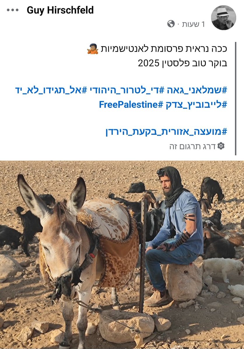 לא יודע מה איתך גיא, ככה נראית תמונה של גאולה 🤩