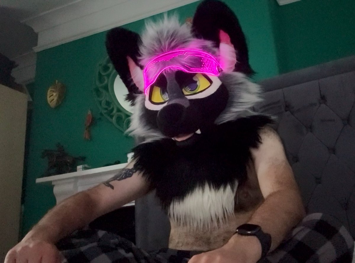 🌿Fern🌿 (@fernsilverfox) on Twitter photo Good morning! 😘 Good morning! 😘