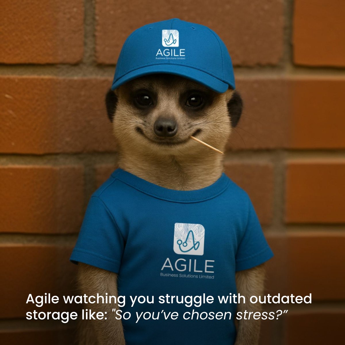 AgilebizKE's tweet image. Tired of slow systems and storage stress? 🐌💻
Agile + Oracle =
⚡ Fast servers
🚀 Exadata power
📦 Scalable storage
Power up, stress down.
📩 sales@agilebiz.co.ke
#OracleExadata #SmartIT #KenyaTech #NoMoreTechDrama