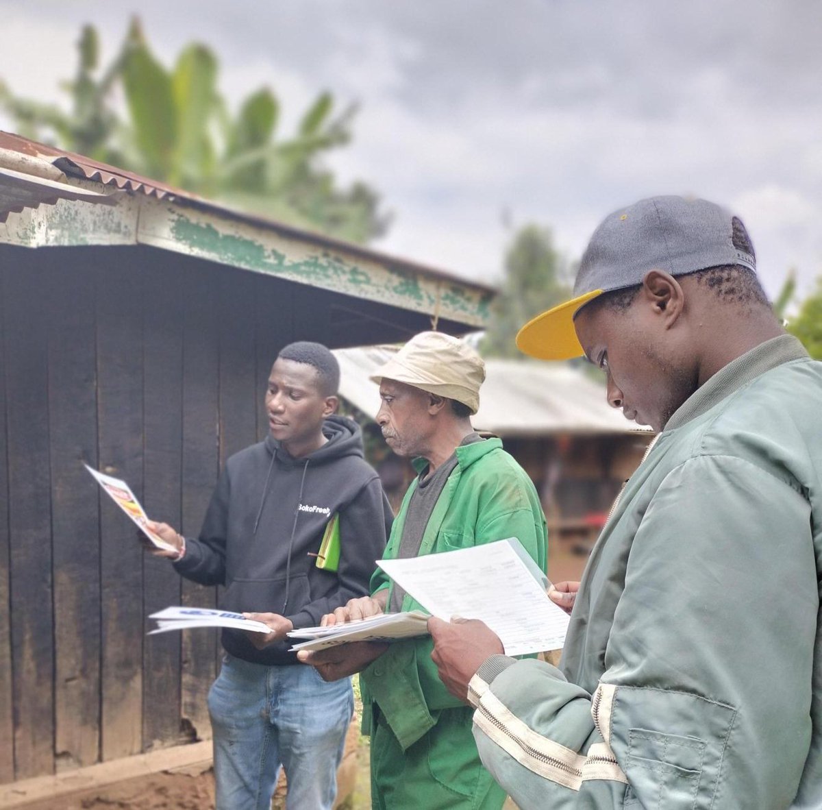 SokoFreshKE's tweet photo. To meet global export standards, we train smallholder avocado farmers on GLOBALG.A.P., GRASP &amp; more—covering harvesting, safe input use &amp; traceability. Empowered farmers = quality, certified Hass avocados. #AvocadoExport #FarmerTraining #SokoFresh #GLOBALGAP https://t.co/PF0ZK44Ybe