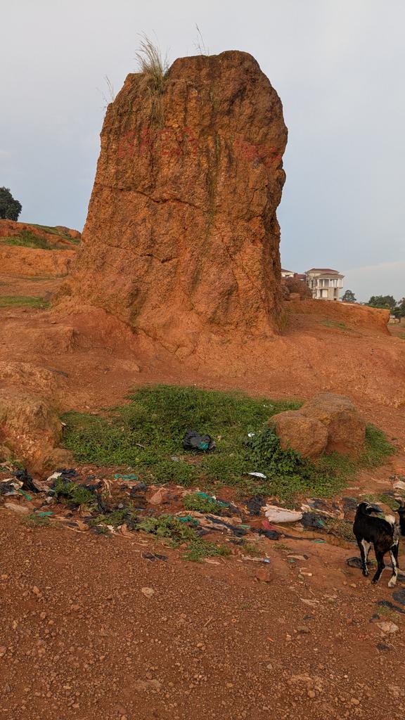 busingye David (@busingyeda35253) on Twitter photo 
