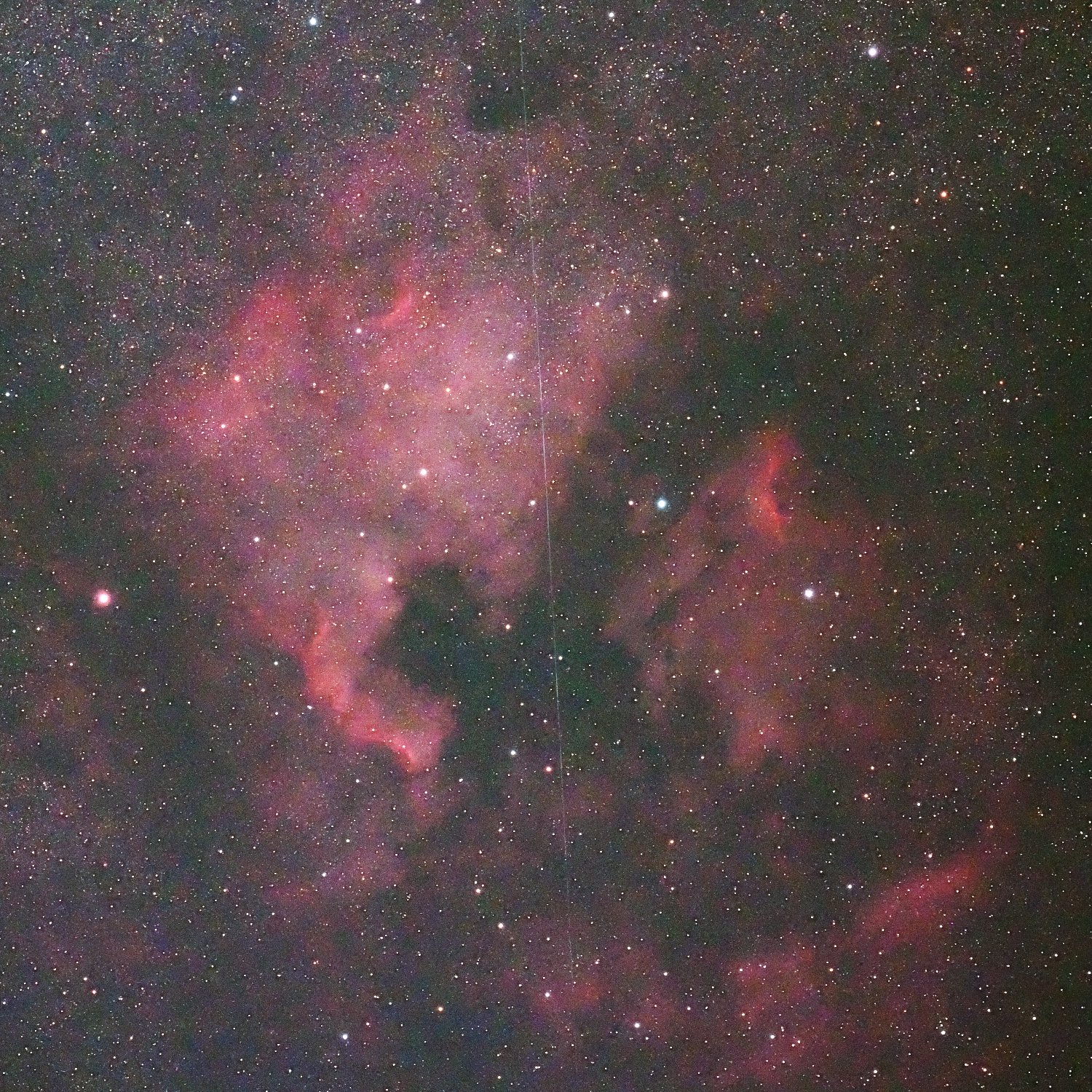 空翔る星 FIreworks Galaxy NGC 6946 - 44h Seestar S50 : r/astrophotography
