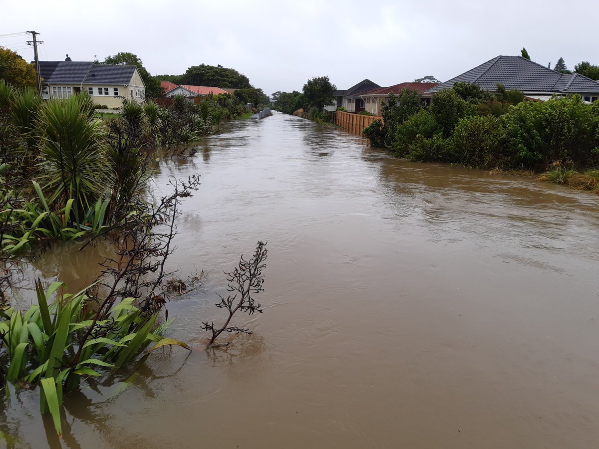 Forest_and_Bird's tweet image. 🌿 After another wave of heavy rain and flooding hit already vulnerable communities at the top of Te Wai Pounamu the South Island, Forest & Bird believes that nature can help with a solution – but it needs Government support.
We are calling on the Government to develop a…