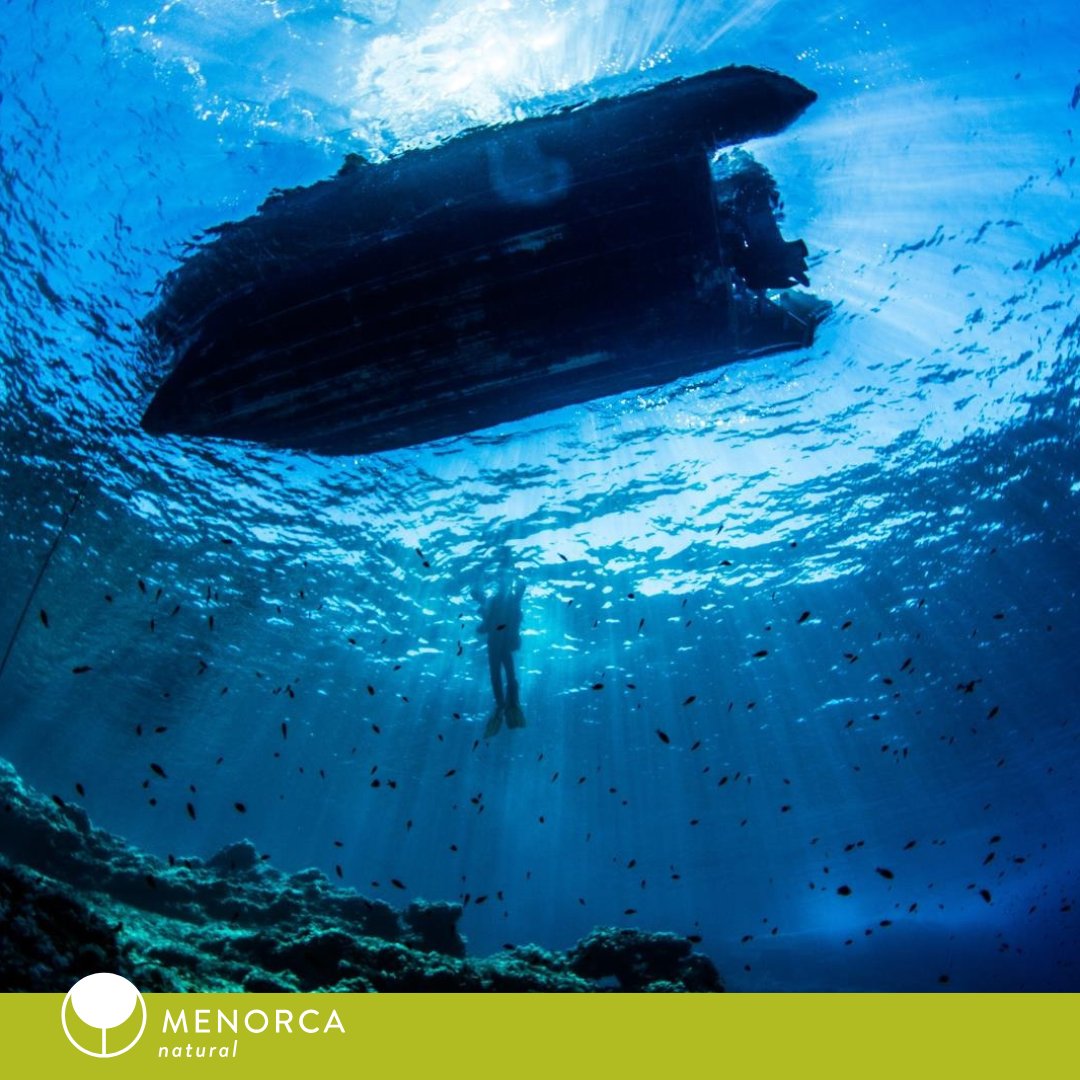🤿 Explorar el fondo marino de #Menorca es descubrir un mundo de silencio, luz y vida.
Desde cuevas sumergidas hasta barcos hundidos, cada inmersión es un viaje inolvidable.

¿Ya has buceado en nuestras aguas cristalinas?
