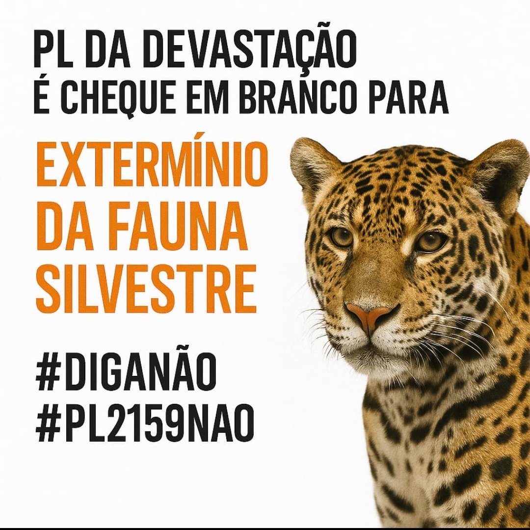 CABELO1961's tweet image. #DIGANAO 
#PL2159NÃO