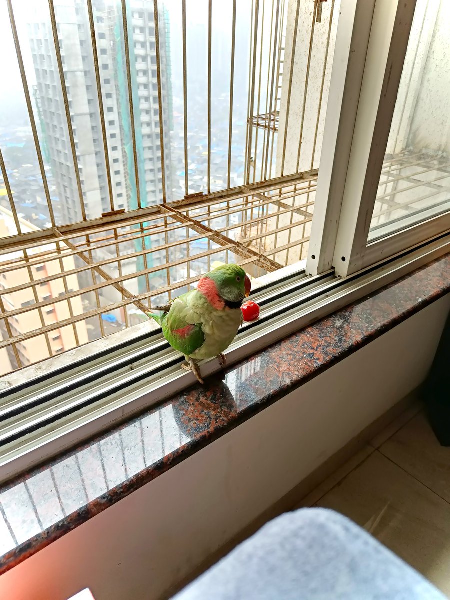 punmanhere's tweet photo. https://t.co/M2G1BqxB3X
