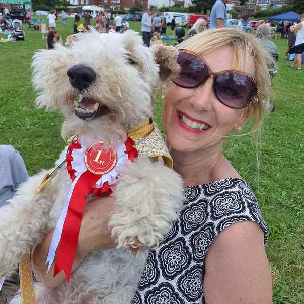 bitternepark.info tweet media