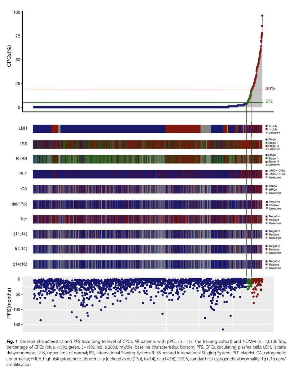 Myeloma_Doc's tweet image. #Myeloma Paper of the Day: Del(17p), t(4;14), t(14;16), but not 1q+ are high-risk cytogenetic abnormalities (HRCAs) in primary #PCL; HRCA, elevated LDH, thrombocytopenia have highest OS impact & can create simple algorithm stratifying pPCL patients: pubmed.ncbi.nlm.nih.gov/40660267/. #mmsm