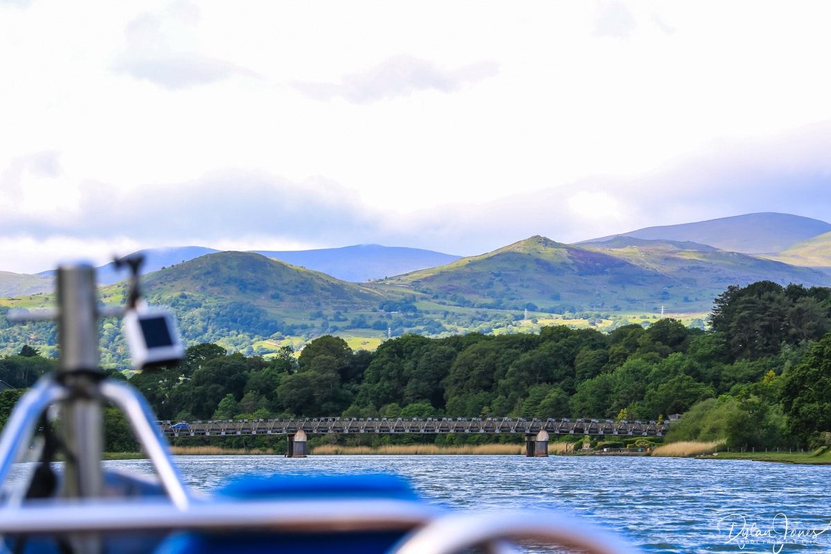 Shoot from the Trip tweet media