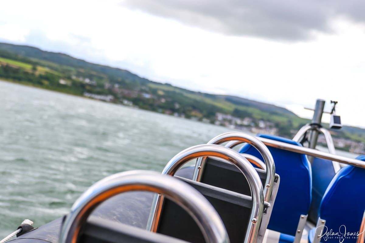 Shoot from the Trip tweet media