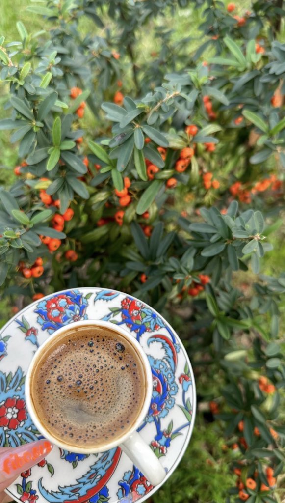 Günaydınnnnn kestirme diye türlü şüphelerle girip sonuna kadar yürüdüğü sokakların mütemadiyen çıkmaz sokak çıkmasından muzdarip bedbaht ky, tepki yeşillerinin geldiği bir gün dilerim🤍

#xu100 10180-200 bant üstü 15’ 230-255 bant 60’ 10060 altı 15’ en iyi ihtimalle dünün tekrarı