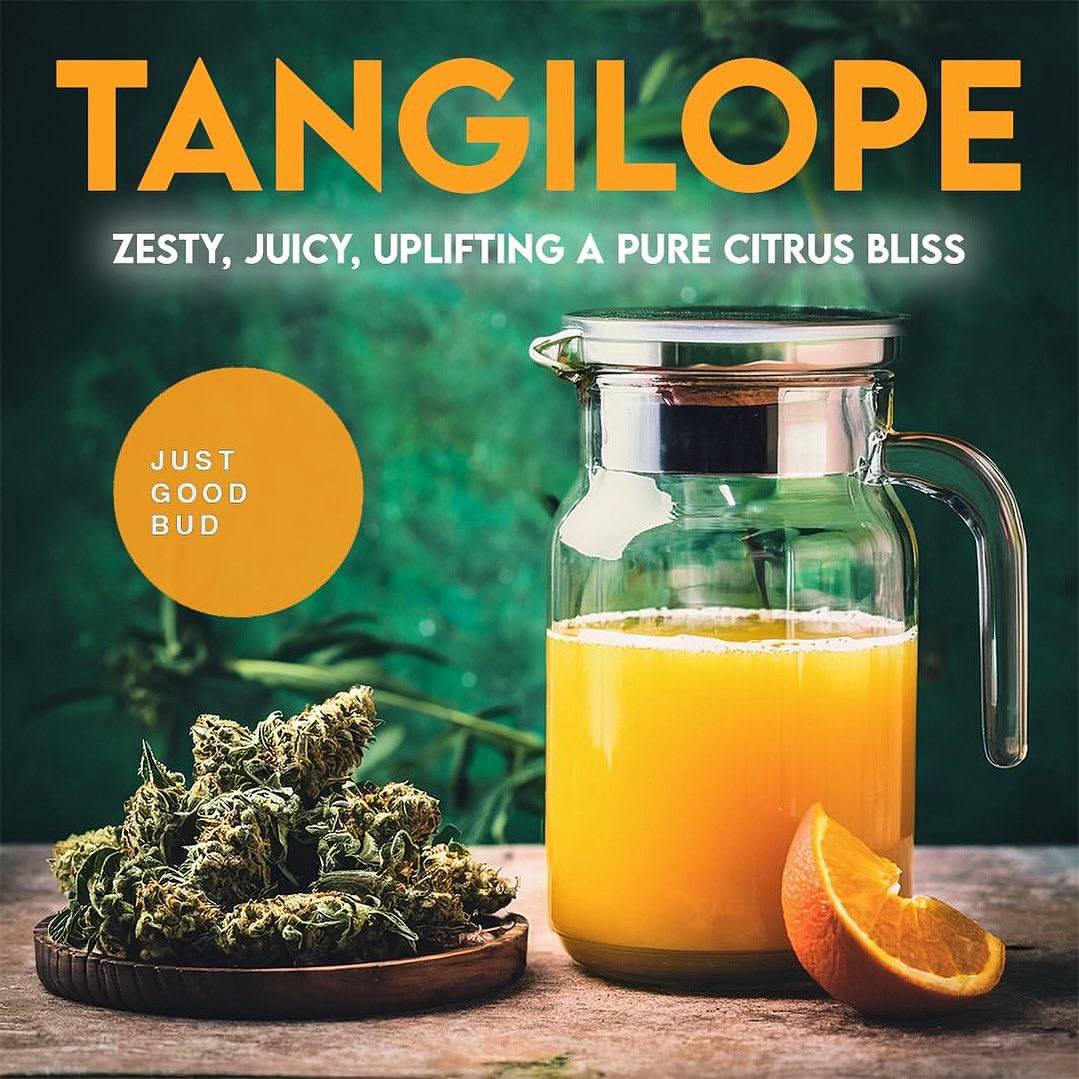 NativeCare tweet media