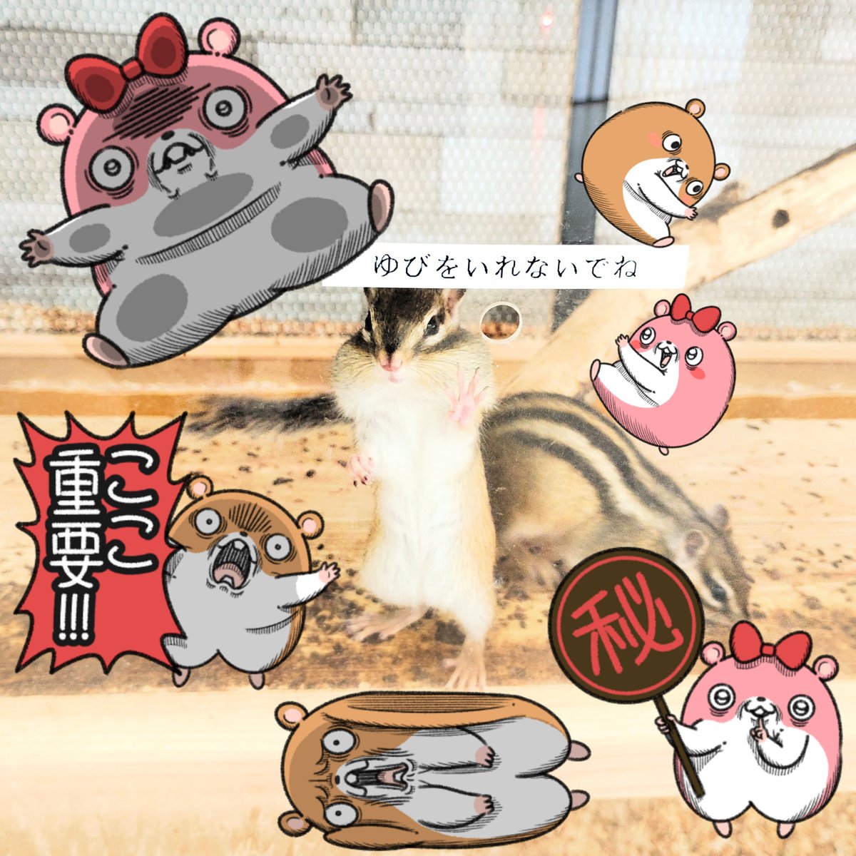 キョムスター&amp;ヤムスターの新作LINEスタンプが出た!

虚無りがちなキョムと病みがちなヤムの写真に貼れるスタンプ!
もちろん、通常のスタンプとしても使えるよ!
https://t.co/D8H61Qu9f4 