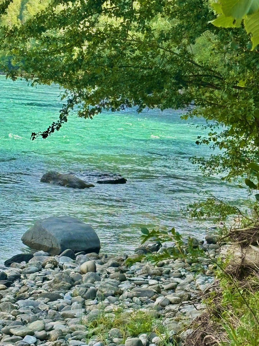 stein5864's tweet image. 🌿🦋🌿 Kraftquelle Natur …..,
          Momente der Ruhe und Stille 🌿🦋🌿