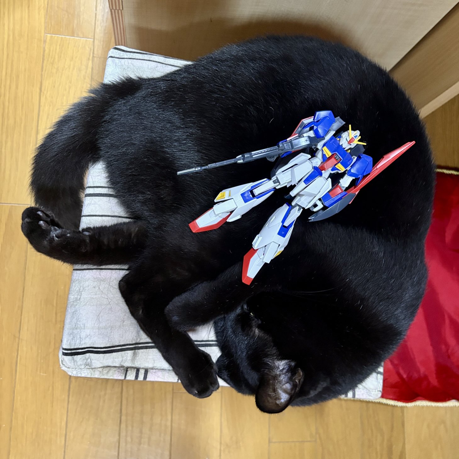 こーいちくんへ コウペンちゃん いちご BIGぬいぐるみ - メルカリ