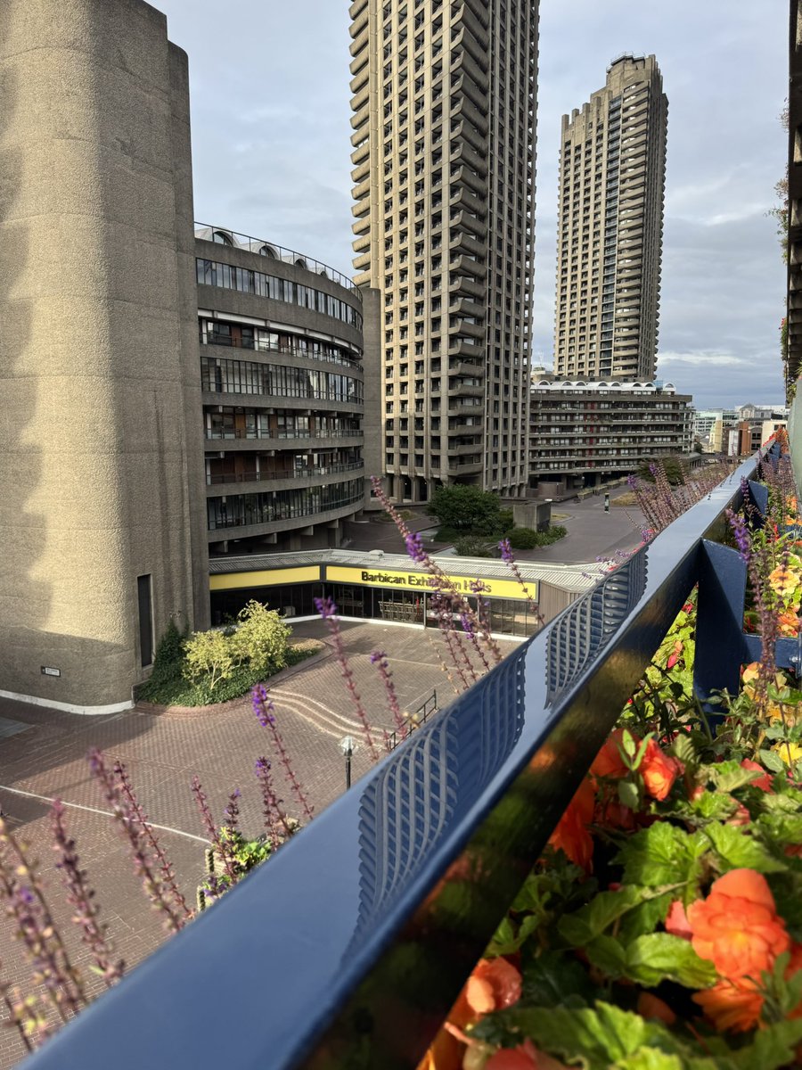 SiFrew's tweet image. My #barbican #windowboxes are already looking fabulous. Resident of #thebarbican sifrew.com in #london