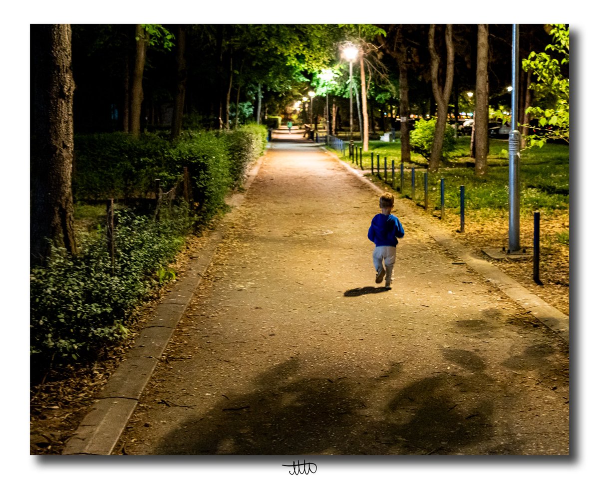 Marko Petrović tweet media