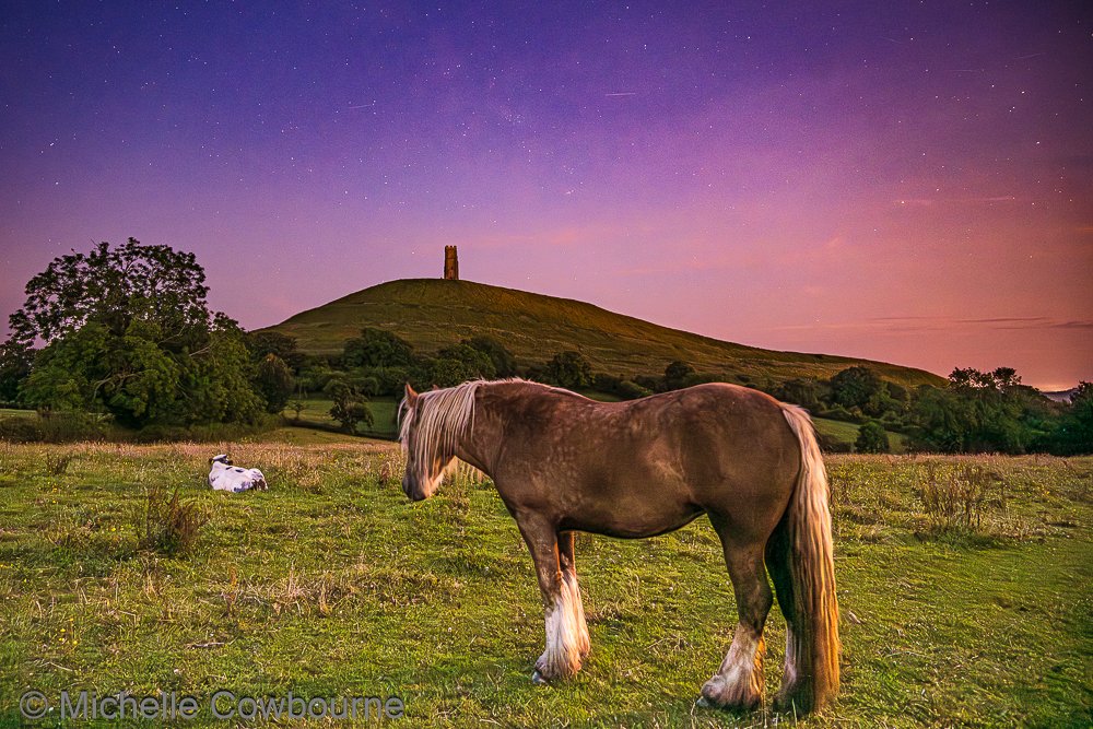 'Lilac Eve and the pony' (and cow 😂) The stars at night in a field at the base of Glastonbury Tor. It's been a while since I went up at night so it's nice to look over some from last year.