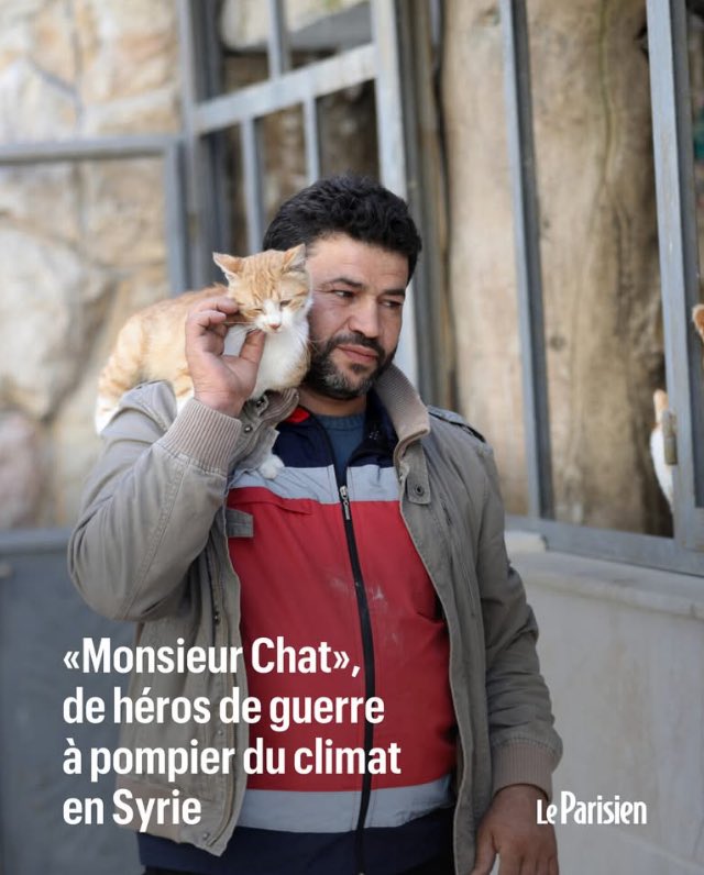The Authentic Cat Man From Aleppo tweet media