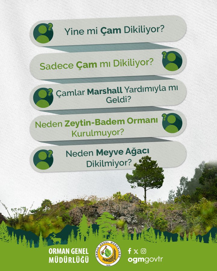 The image features a vertical layout with five speech bubble-style text overlays in green and white, each containing questions like "Yine mi Çam Dikiliyor?" and "Neden Zeytin-Badem Ormanı Kurulmuyor?" against a backdrop of a lush, forested hillside with a prominent tree, likely a pine, under a clear sky. The post, from Orman Genel Müdürlüğü (@OGMgovtr), addresses misconceptions about forest management in Turkey, explaining the prevalence of pine trees, their fire resistance, and the scientific approach to reforestation. At the bottom, a green banner displays the Orman Genel Müdürlüğü logo, contact information (f/x @ogmgovtr), and the text "ORMAN GENEL MÜDÜRLÜĞÜ." No platform watermarks are visible.