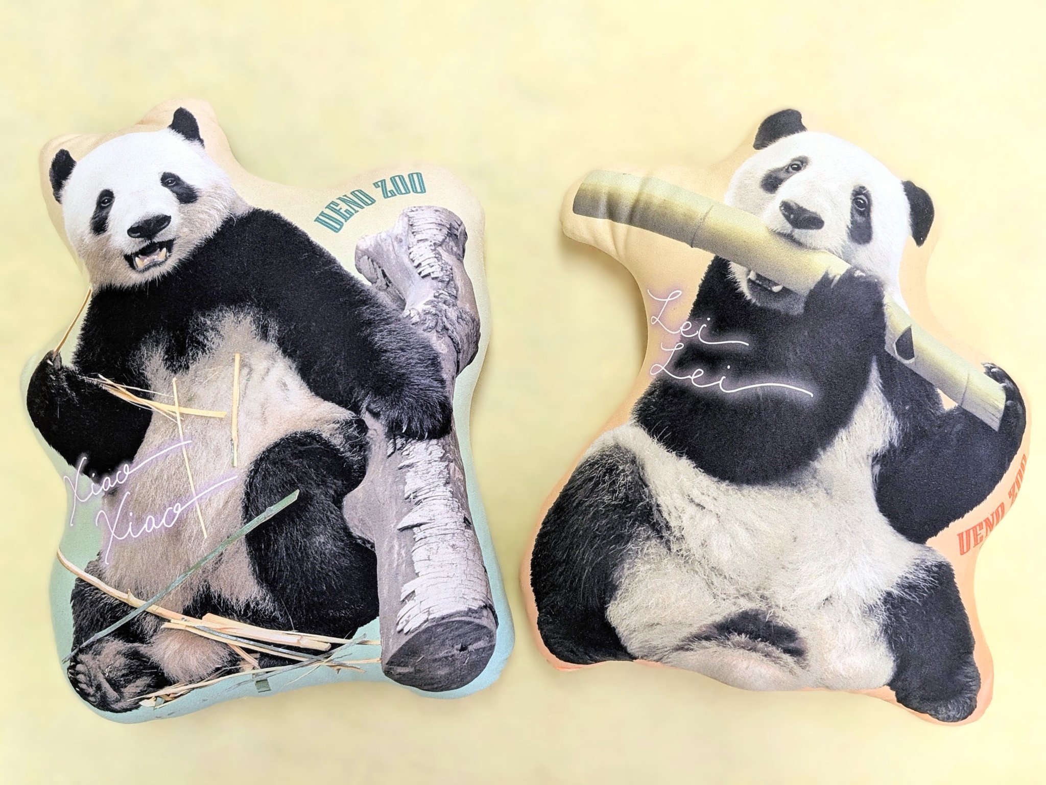 上野動物園 シャオシャオ レイレイ 暁暁＆蕾蕾4th クッション メッシュポーチ シャオシャオ レイレイ 双子パンダ 上野動物園公式 4歳記念商品