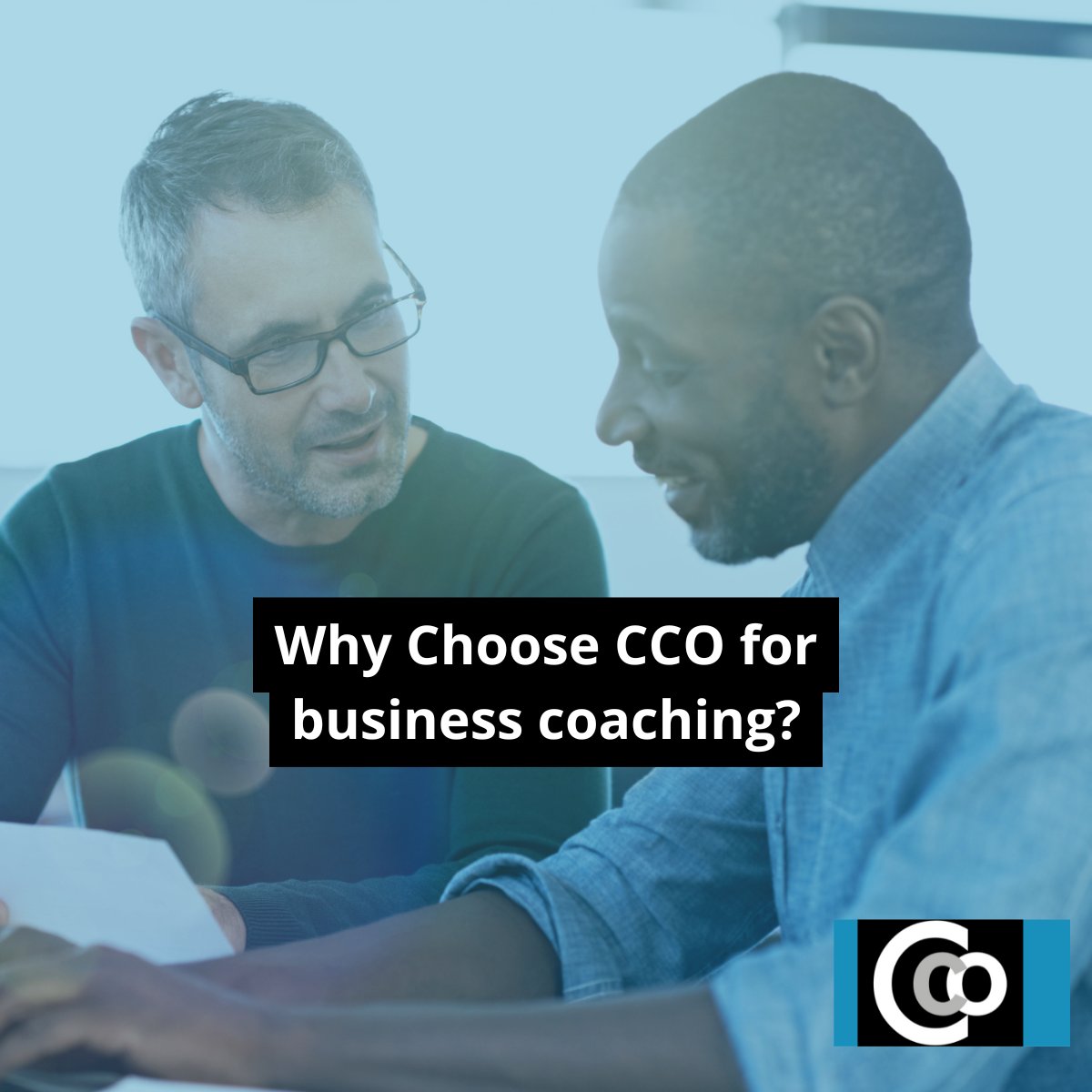 Why choose CCO for business coaching?

In contrast to traditional coaching methods that may offer temporary solutions, our approach cultivates lasting transformation. 

Contact us today for a confidential chat about how we could help your business.

#BusinessCoaching