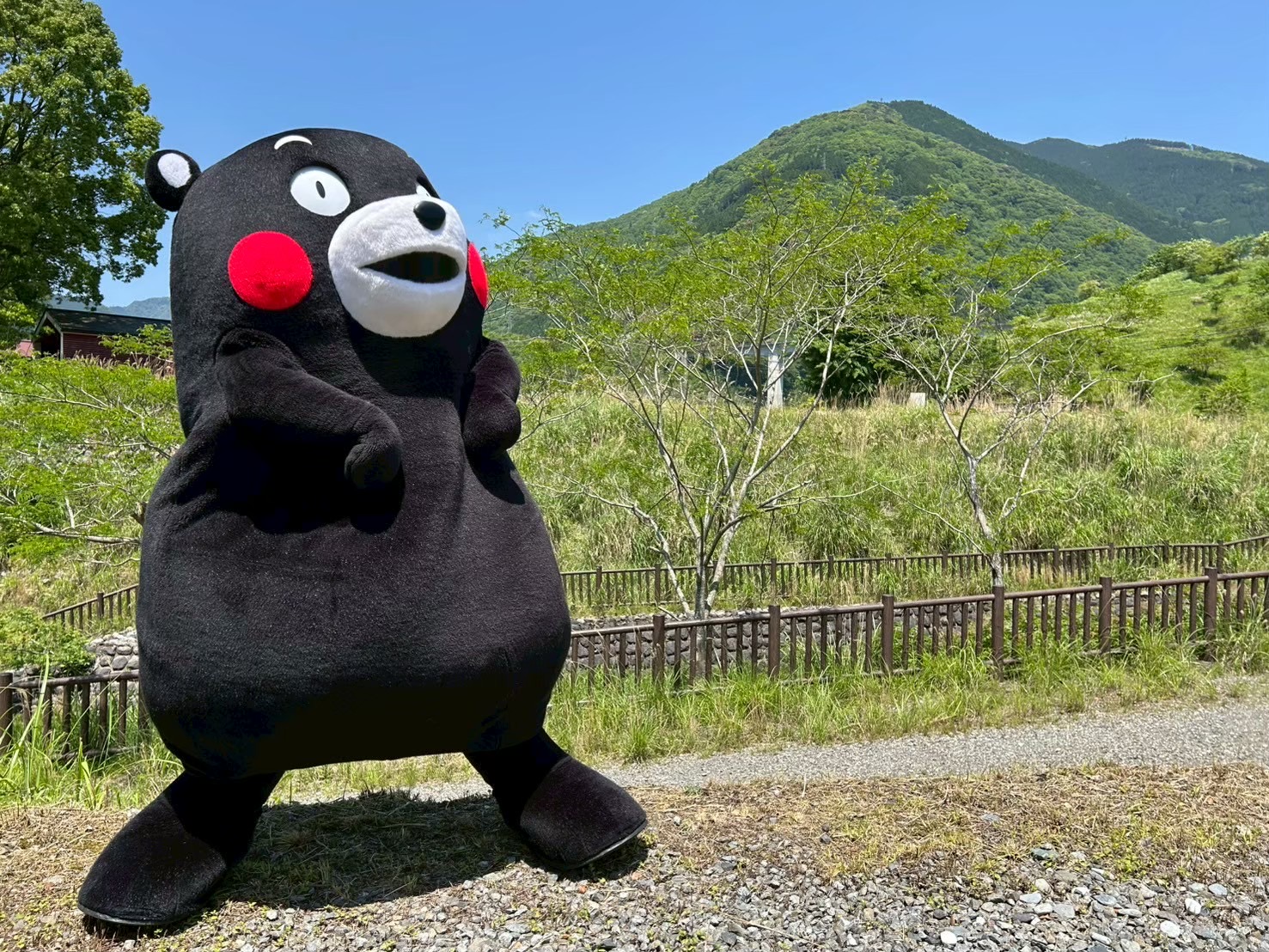 くまモン【公式】 (@55_kumamon) / X
