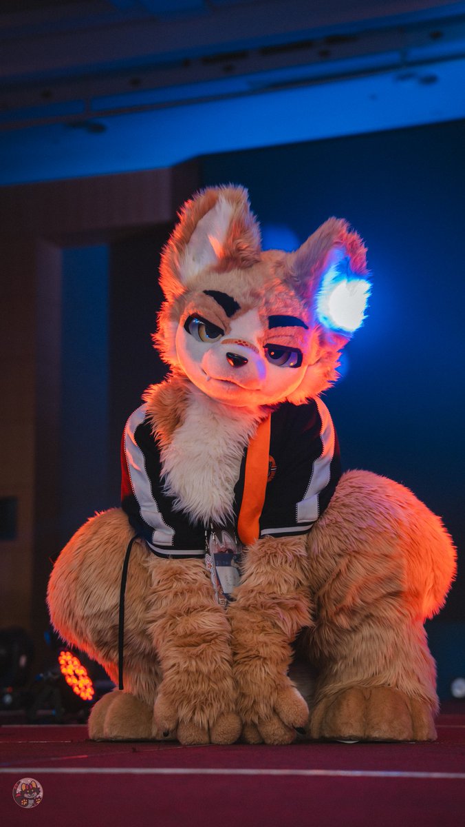 Shiny Wolfy 🥰