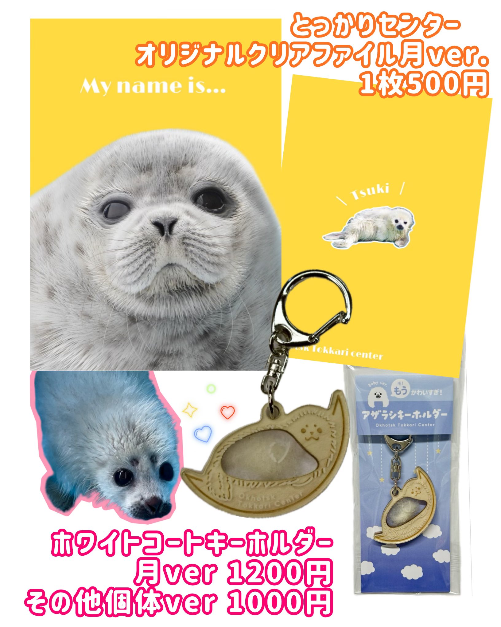 【未開封】アザラシくじ D賞 ねこ＆しお 2点セット ナガノの水族館 アザラシぬいぐるみくじ D賞ねこのアザラシ