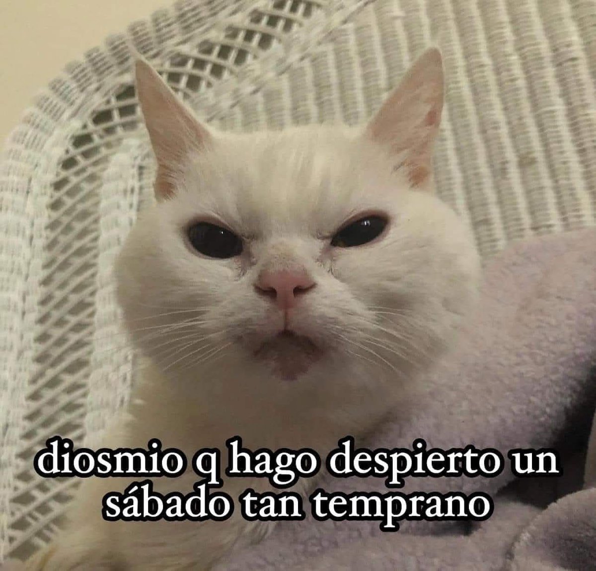 En Júpiter (@en_jupiter_) on Twitter photo 