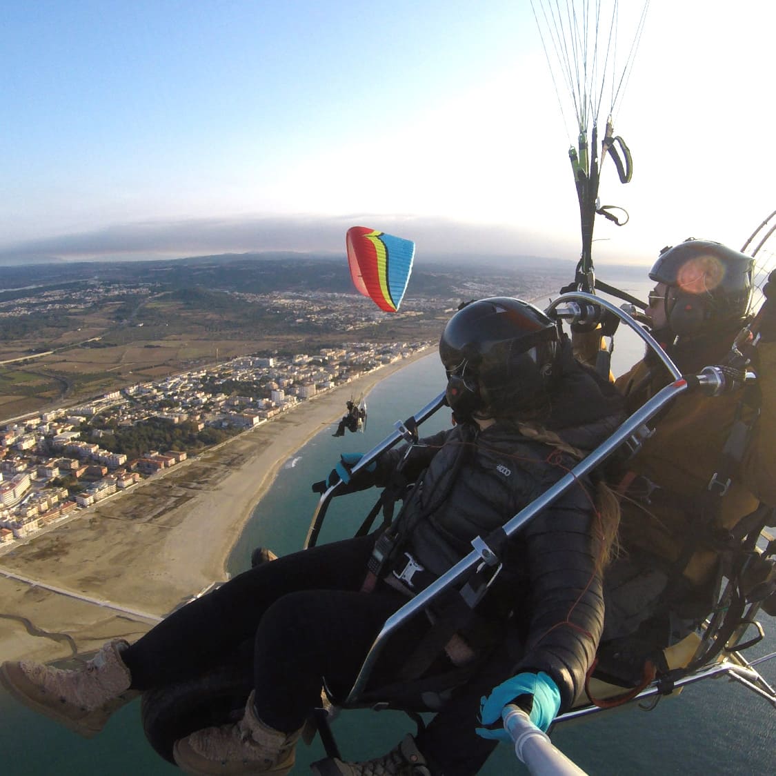 Avgvstvs Forvm tweet media