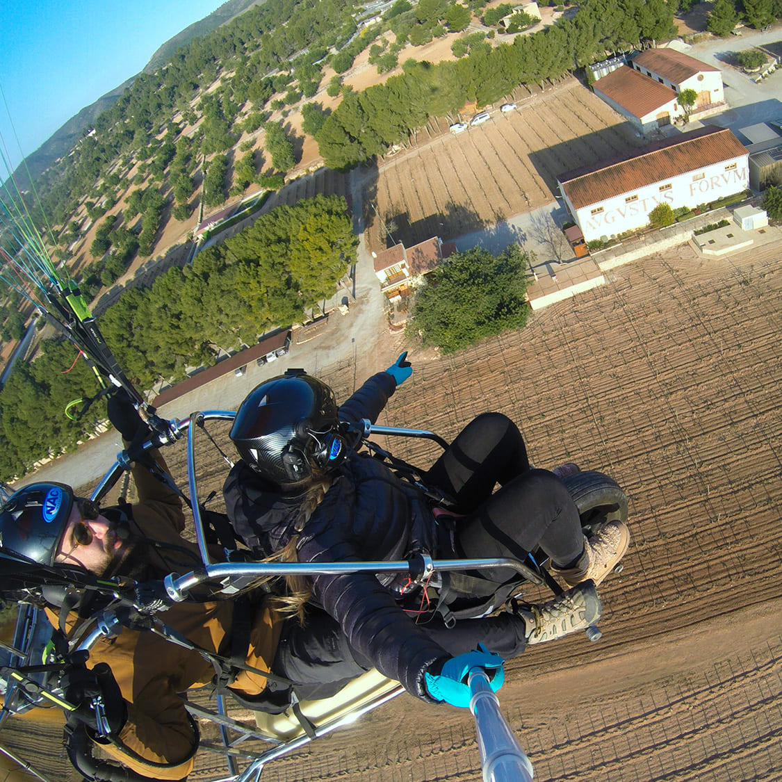 Avgvstvs Forvm tweet media