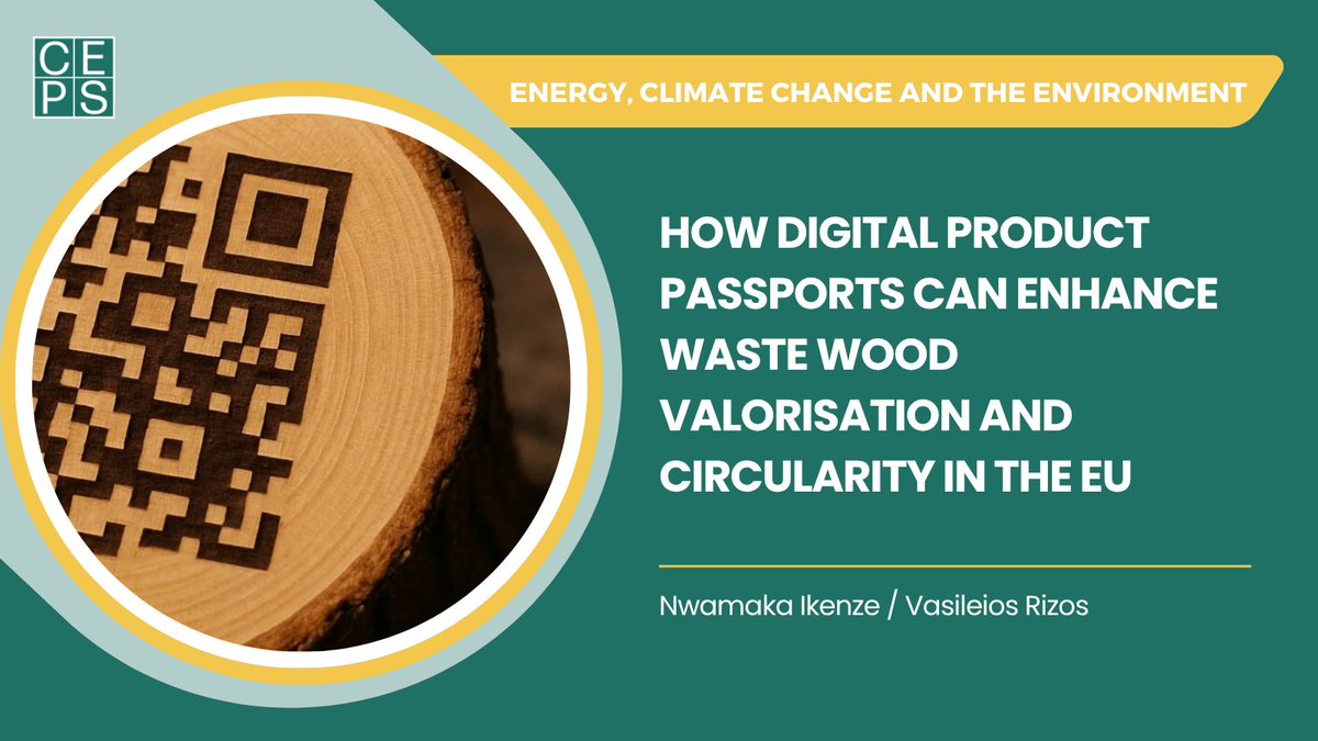 Vasileios Rizos (@vasileios_rizos) on Twitter photo What are the key challenges and opportunities for advancing #circularity of #waste wood from buildings and #furniture waste using digital product passports (DPPs)? What policy lessons can be learnt from existing pilots? See our <a href="/wood2wood_EU/">Wood2Wood Project</a> report ceps.eu/ceps-publicati… What are the key challenges and opportunities for advancing #circularity of #waste wood from buildings and #furniture waste using digital product passports (DPPs)? What policy lessons can be learnt from existing pilots? See our <a href="/wood2wood_EU/">Wood2Wood Project</a> report ceps.eu/ceps-publicati…
