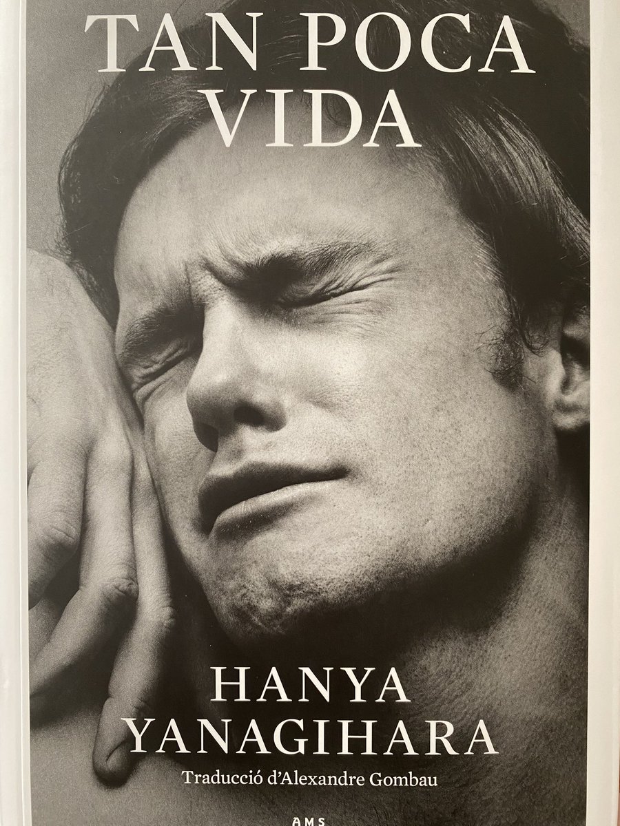 JRZaballos's tweet image. Vaig per la mitat…. Quina canya de llibre! @som_amsterdam @YanagiharaHanya #llibres #lectura #zaballosworld