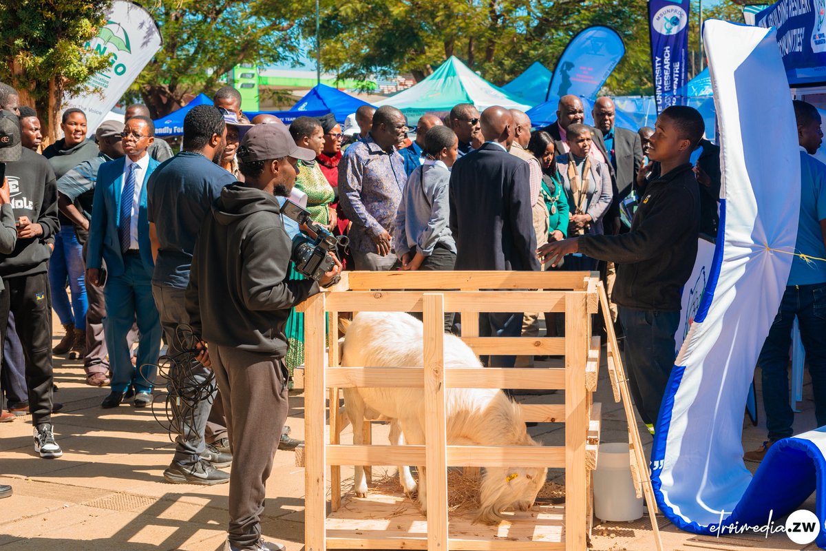 nangozimbabwe's tweet image. 📸 Day 1 in Pics!
The Midlands NGO Expo &amp;amp; Winter School 2025 kicked off with action, insights &amp;amp; collaboration! Here’s how Day 1 unfolded:
🧩 Exhibitions
🗣️ Engagement
🛠️ Compliance support
#NANGOExpo2025 #LocallyLedDevelopment #CivicSpaceMatters