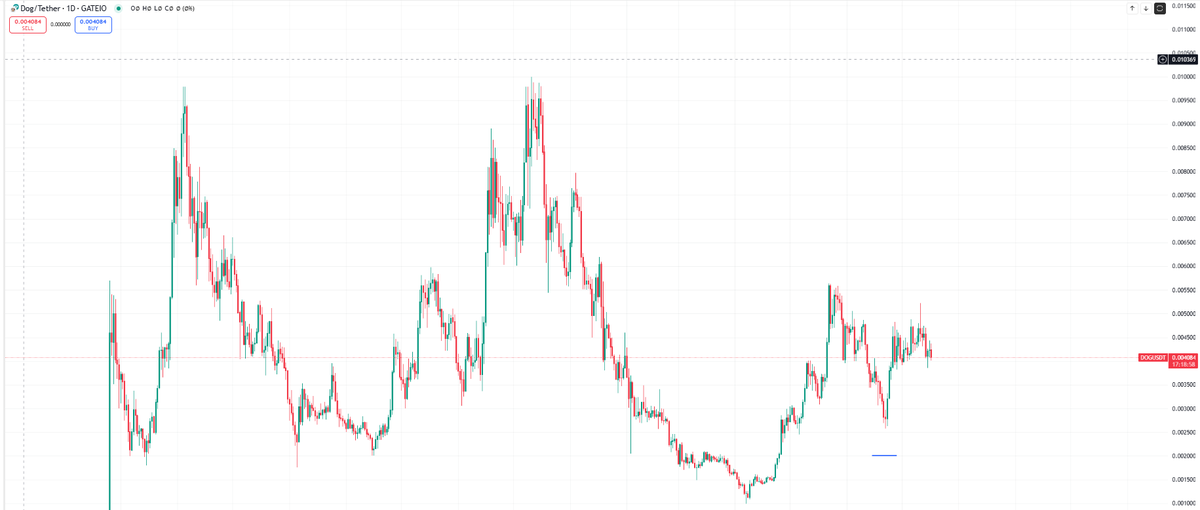 Giovapapa tweet media