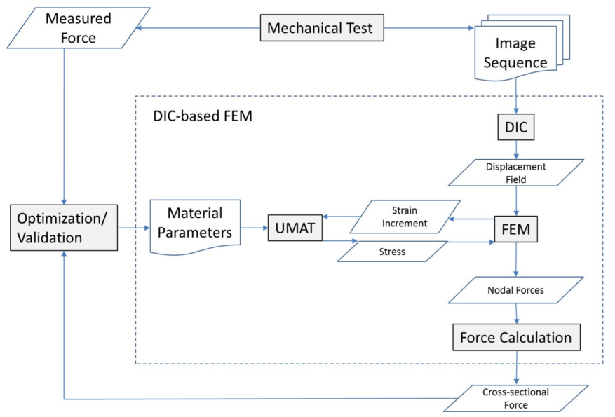 📣New paper 📣on using #DIC-based #FEM to determine work-hardening parameters in structural steels. We combine full-field DIC data with FEM to identify material parameters from simple tests - no complex setups needed.
🔧Smart, fast, and accurate! 🧪
👉 amses-journal.springeropen.com/articles/10.11…