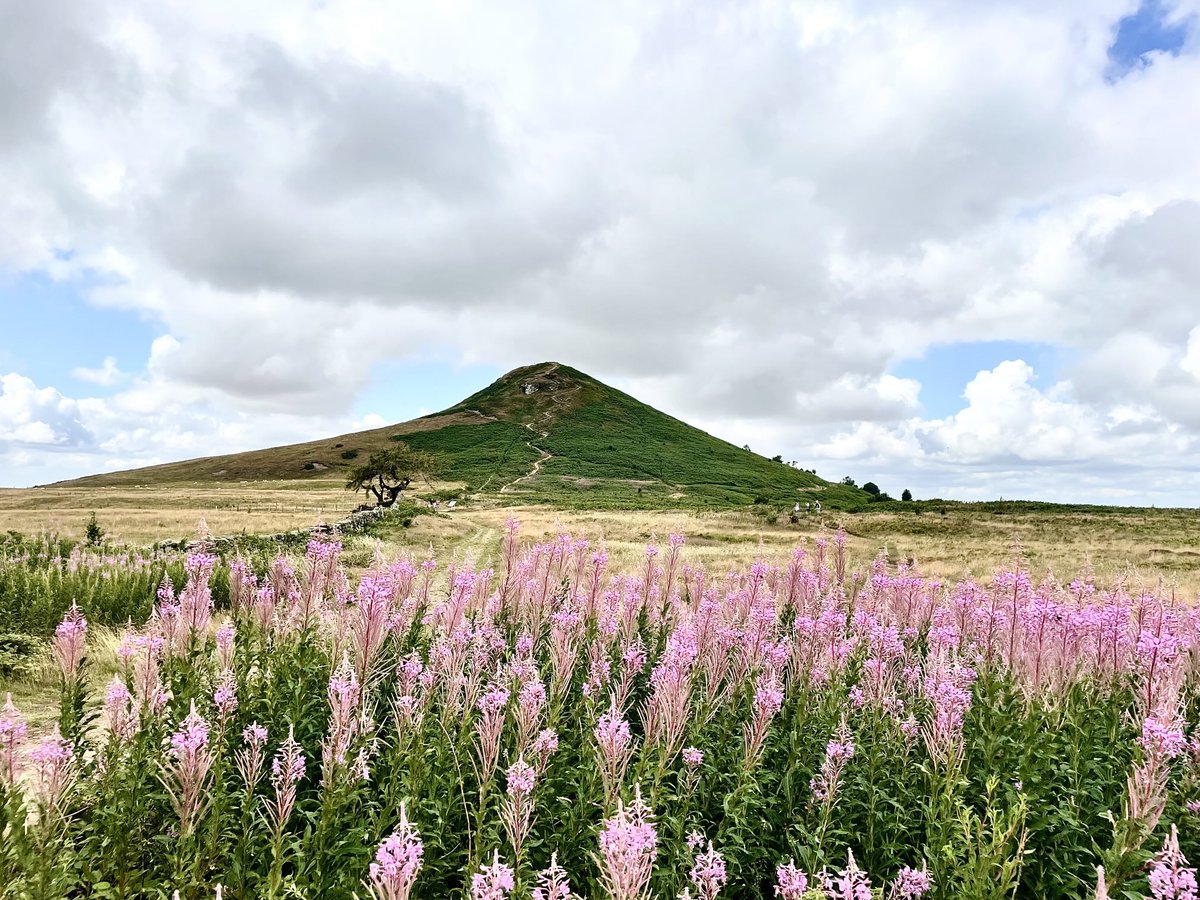 Nicky13Johnson's tweet image. Wishing you a happy Thursday from North Yorkshire 😊