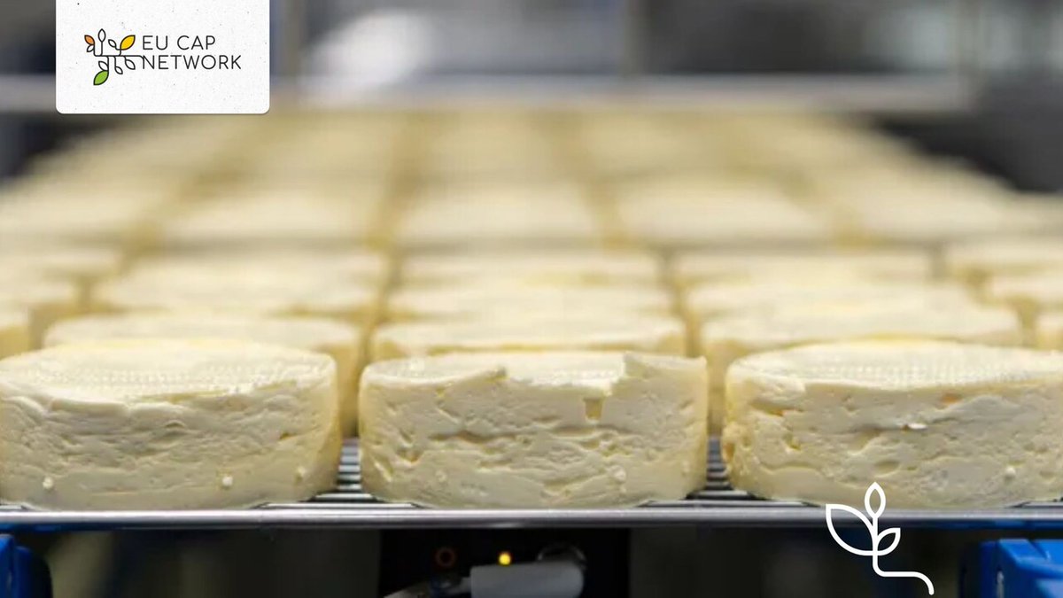 eucapnetwork's tweet image. 🧀 With the support of CAP, the Gillot Cheese Factory in France underwent renovations to address rising demand.
The results of this good practice are increased competitiveness for the cheese factory and the improvement of workers' conditions.
👉 kont.ly/1e50e1a1