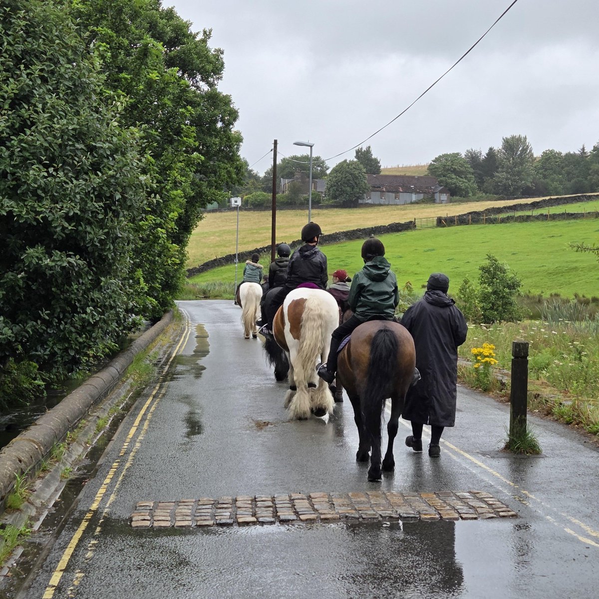 Our last group for horse riding had an amazing time despite the weather <a href="/DickeySteps/">Dickey Steps</a>
