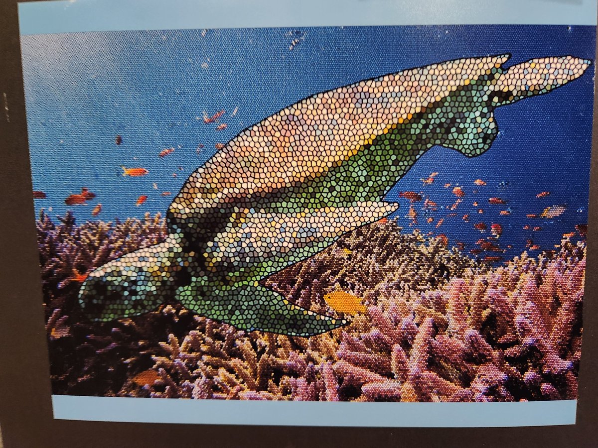 Turtlehelm_'s tweet image. My picture was featured at the San Diego county fair art center this year!