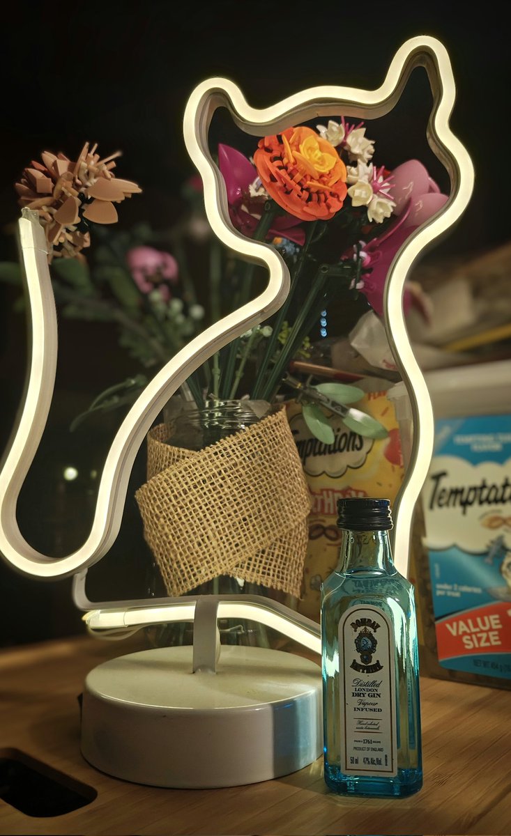 meeeowts's tweet photo. @TheAlicePika He'll always be with you in spirit, Alice 🥹 Please take care of yourself for him, he loves his mom very much 💝 I lit up my beloved cat Sockie's memorial lamp in remembrance of Bombay 🩵✨🫶🏼 He's frolicking up there with the cool cats and reunited with Etika https://t.co/CFBOtfCpAf