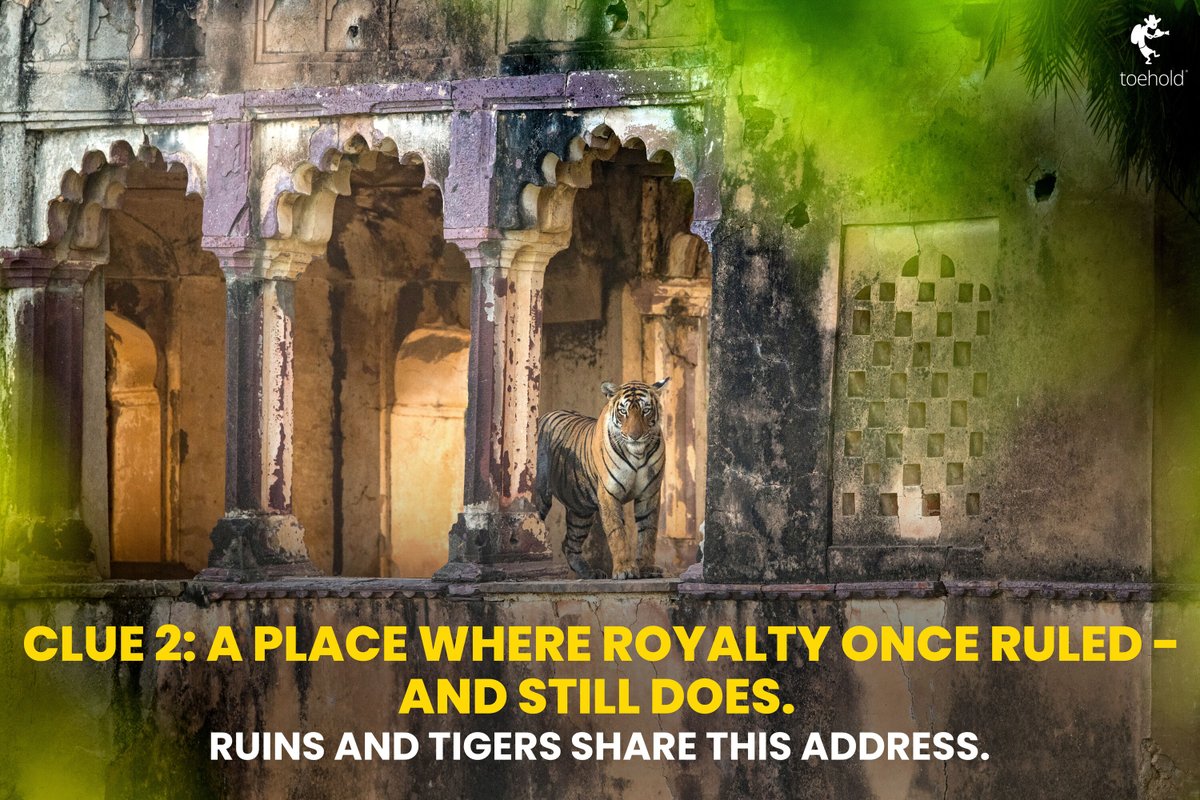 TOEHOLD_TP's tweet image. Tigers. Ruins. Rocky dens.
Can you guess which legendary reserve this is? 🐅
𝗛𝗜𝗡𝗧: It's a tiger paradise famous for its lakes...
Swipe through our clues and drop your answer below!
#ToeholdPhotoTravel