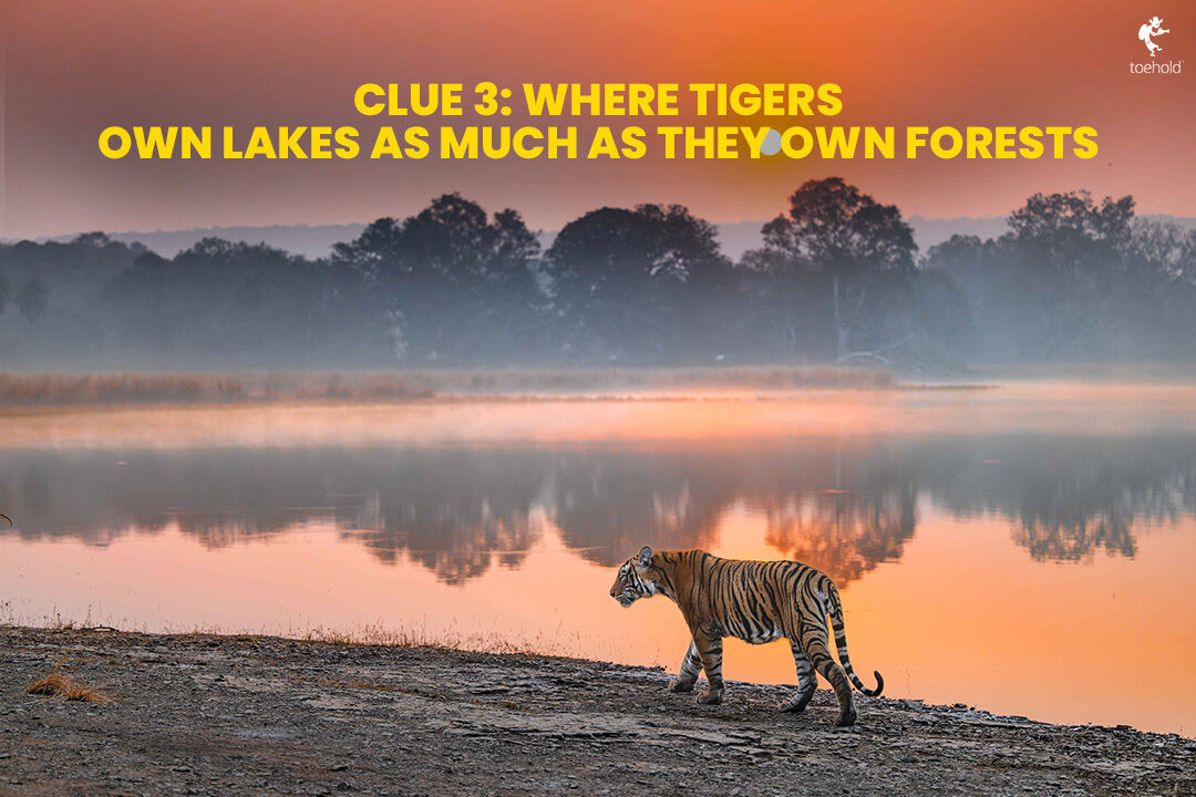 TOEHOLD_TP's tweet image. Tigers. Ruins. Rocky dens.
Can you guess which legendary reserve this is? 🐅
𝗛𝗜𝗡𝗧: It's a tiger paradise famous for its lakes...
Swipe through our clues and drop your answer below!
#ToeholdPhotoTravel