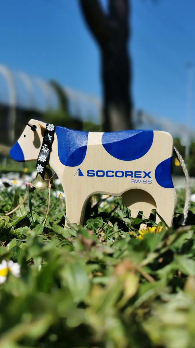 SocorexVet's tweet photo. 🇨🇭Happy Swiss National Day🇨🇭
Today, we celebrate our country, heart of our heritage - its innovation, precision, and beauty.
Explore our range of Swiss-made reliable veterinary injection instruments here: https://t.co/nfZbLY0RGx
#Socorex #AnimalHealth #SwissNationalDay https://t.co/72dolvoFDl