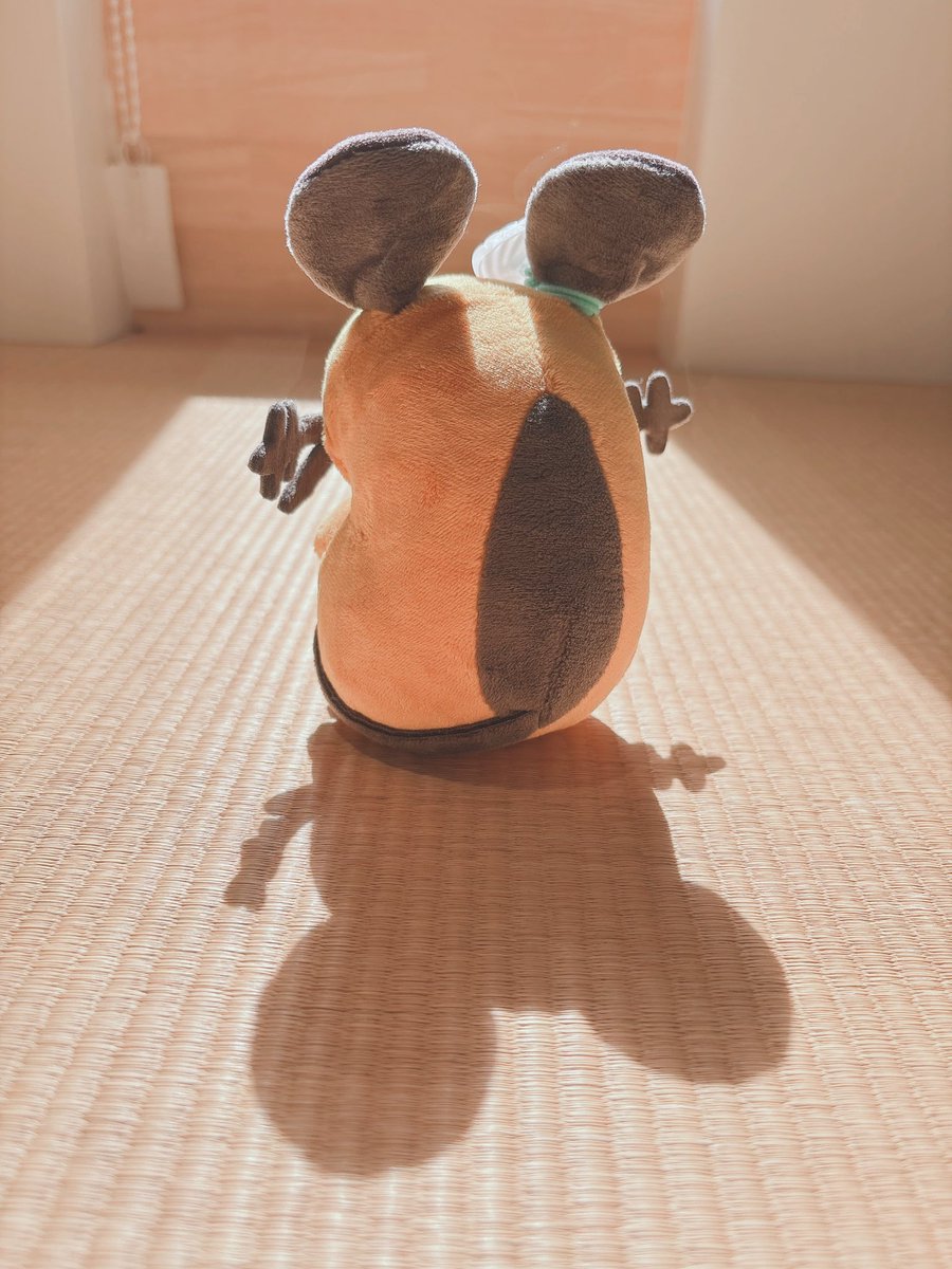 dedechan07's tweet image. デデンネと影🐚